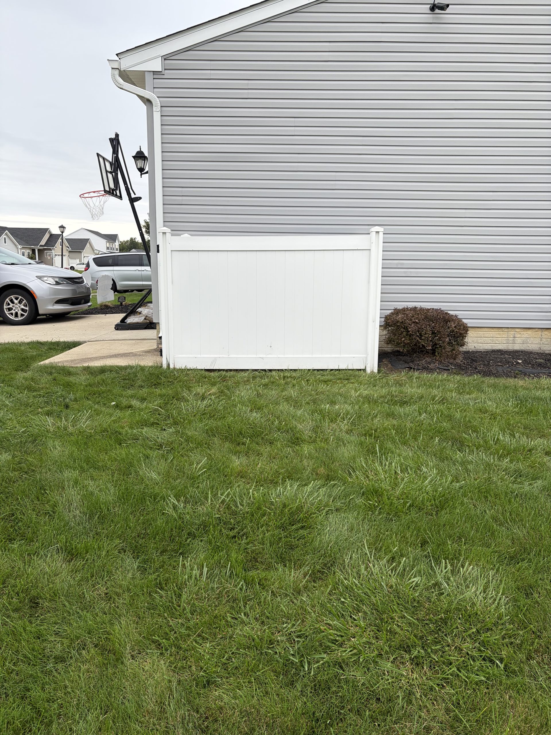 Clean lawn after wood debris removal